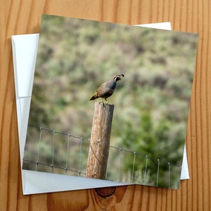 Blanco kaart voor natuurkunstfotografie van 5 x 5 inch