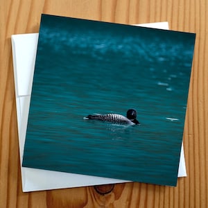 Cartão de felicitações com fotografia de arte da natureza em branco 5x5