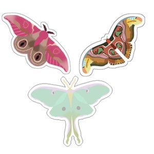 Bug Stickers