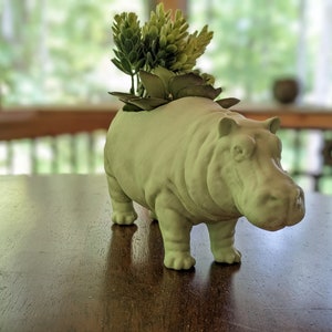Happy House Hippo - Succulent Planter - Hippopotamus - Indoor Planter