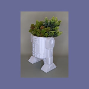 Può includere: Vaso da fiori in ceramica bianca a forma del personaggio di Star Wars R2-D2, con una pianta grassa verde al suo interno.