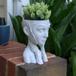 Lady of Grace / 3d gedruckt / Sukkulenten Pflanzer / Zimmerpflanze