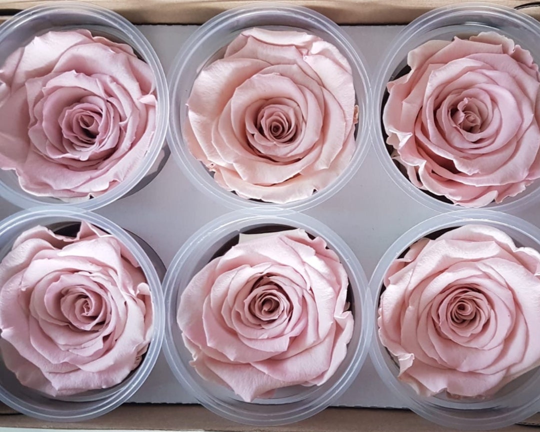 Preserved Roses Wholesale, Complete Bouquet Package for Weddings and ...