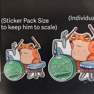 Toni the Punk Rock Opossum Vinyl Sticker Set | Individual Options Available | Children's Book Illustration | Trash Panda Punk vibes image 7