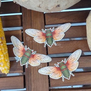 May include: Three cicada insect stickers with orange and green wings on a wooden surface.