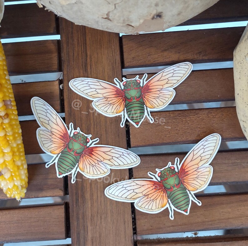 May include: Three cicada insect stickers with orange and green wings on a wooden surface.
