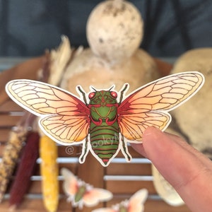 Colorful Cicada Vinyl Sticker | Insect Illustration | Entomology | Witch Aesthetic | Bug decor | Spooky cute decal | Nature art gifts