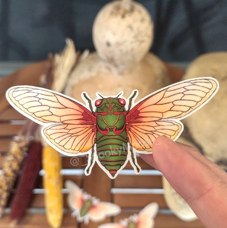 May include: A green and red cicada insect sticker with orange and yellow wings. The sticker is on a wooden surface.