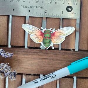 May include: A sticker of a cicada with green and red wings. The cicada is on a wooden surface.