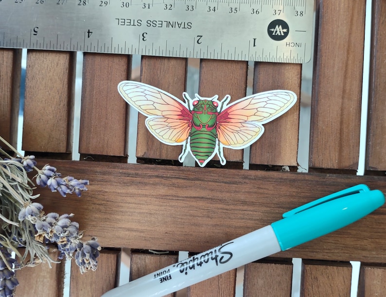 May include: A sticker of a cicada with green and red wings. The cicada is on a wooden surface.
