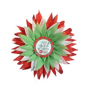 May include: A red, white, and green Christmas wreath with a circular sign that reads "Dear Santa, I really did try".
