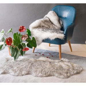 May include: A gray and white faux fur rug with a blue armchair and a potted plant with red flowers on a gray background.
