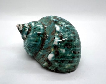 Jade turbo 2 1/4&quot;-2 1/2&quot; (1 shell)