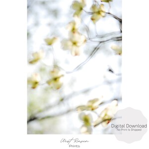 Dogwood Wall Art, Nature Print, Printable Art, Tree Print, Spring Tree Print, Digital Download