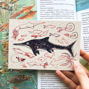 Ichtyosaure // Carte postale illustrée // Tirage d'art A6 // Imprimé sur papier recyclé