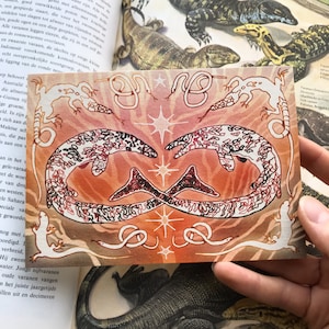 Mosasaur // Postal ilustrada // Impresión artística A6 // Impreso en papel reciclado