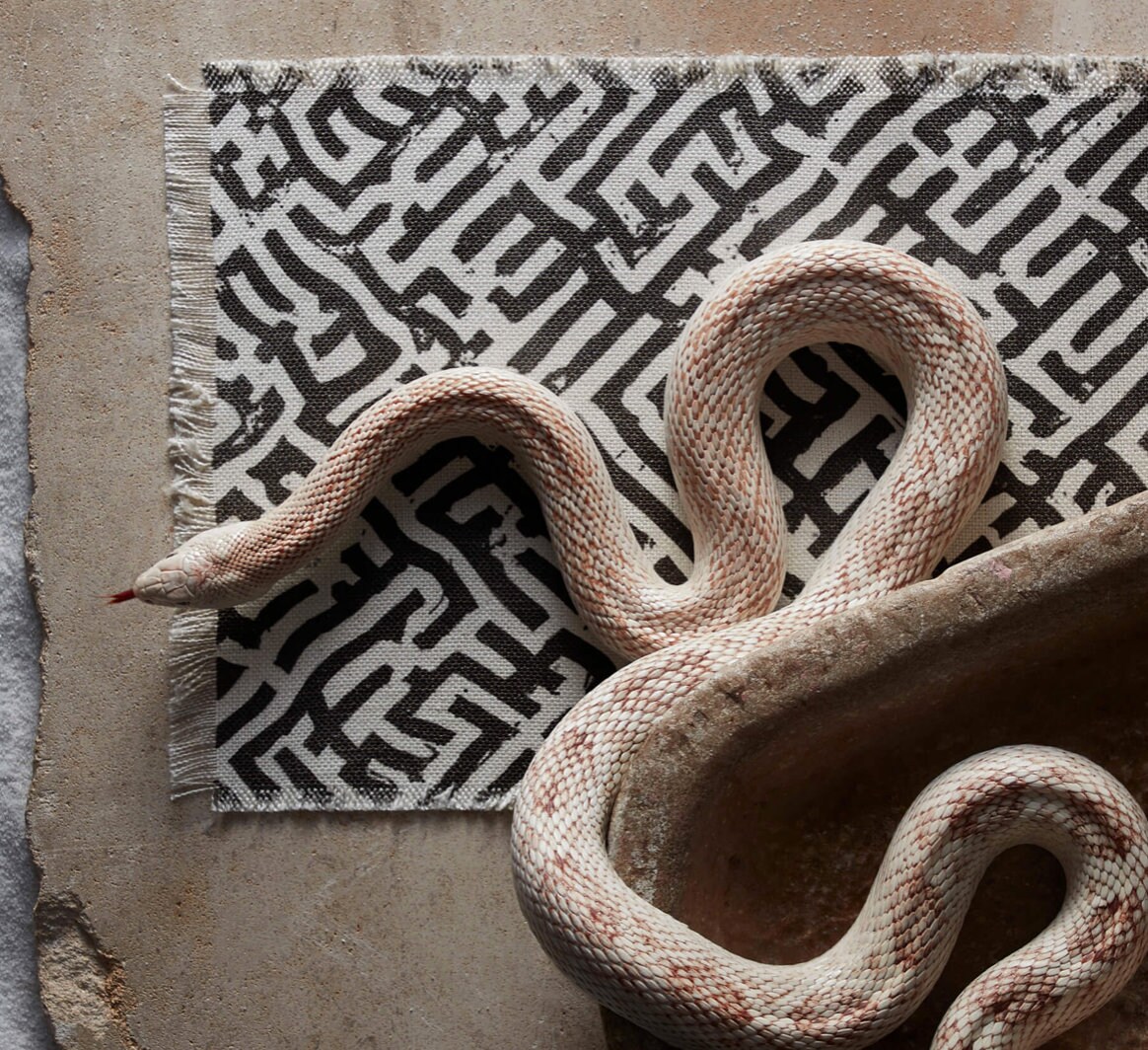 Zak Fox, Basilica in Color 05 Etsy