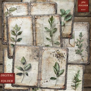 Floral Junk Journal Kit, Botanical Collage Sheet, Floral Pages, Herbal, Printable Ephemera, Green Paper Pack, Instant Download, Nr093