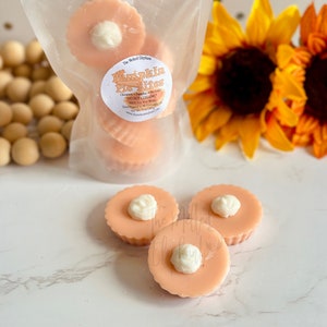 Mini Pumpkin Pie Wax Melts, Food Wax Melts, Novelty Food Product, Highly Scented Soy Wax Melt, Fall Bakery Wax Melts