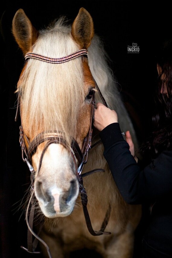 bridon strass norton sellerie atelier du cheval