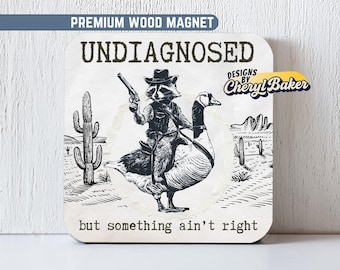 Raccoon Magnet, Funny Locker Magnet, Nurses Magnets Funny Work Magnets, Cowboy Magnet, Cute Magnet for Work, Silly Fridge Magnets Funny