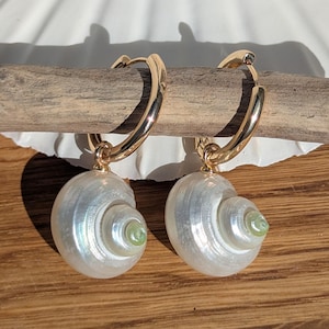 May include: Gold hoop earrings featuring pearlescent white shell pendants. Each shell has a spiral design and a small, light green centre. The earrings are presented on driftwood against a wooden background.