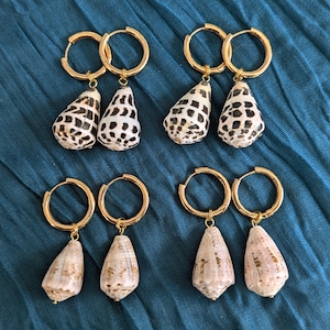 Cone Shell Hoop Earrings Huggie brass gold coloured