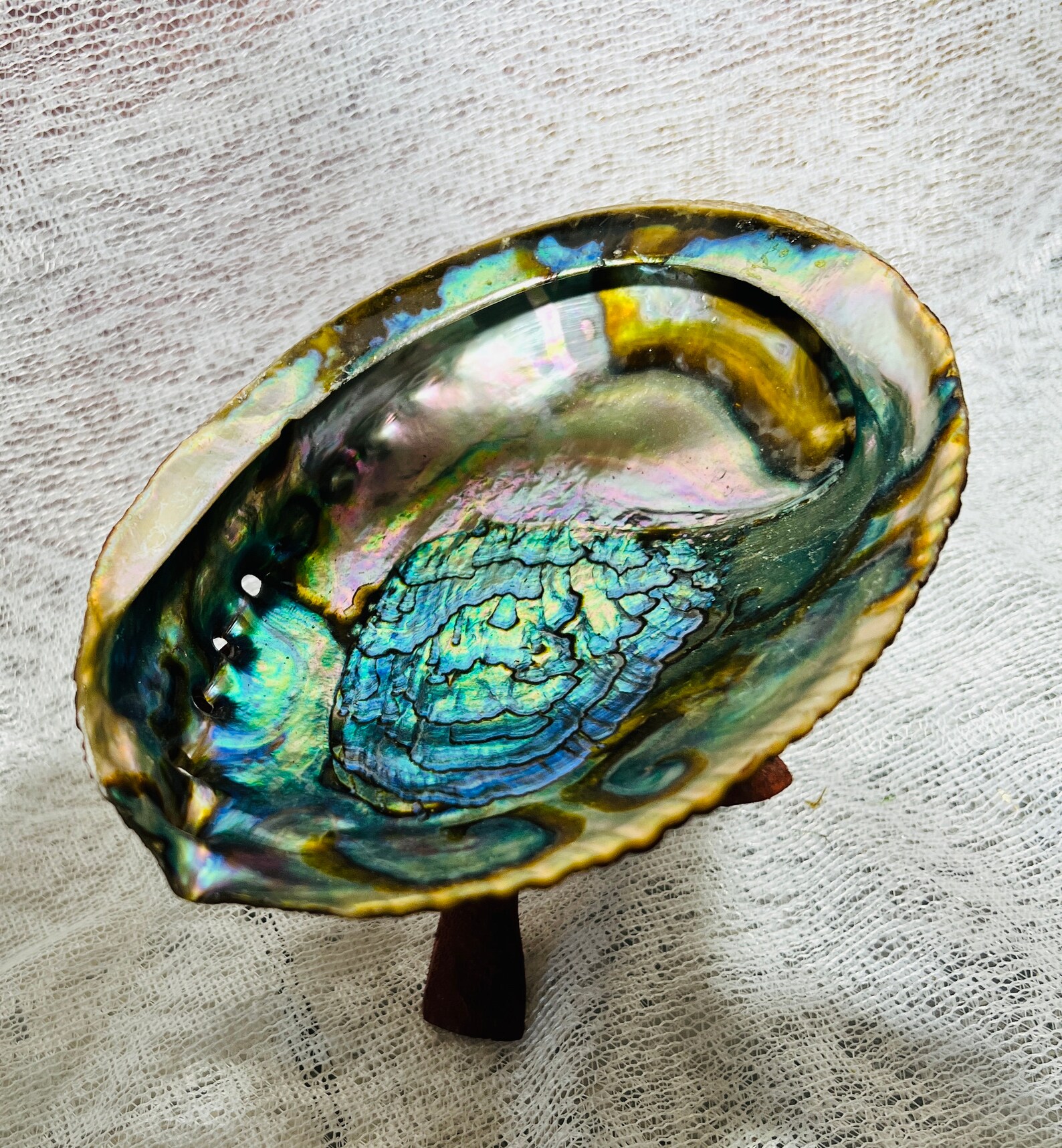 BEAUTIFUL L Abalone Shell Great to Use as a Smudge Bowl Etsy