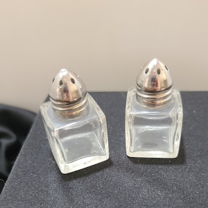 Individual Salt and Pepper Shaker Set Buyer's Choice