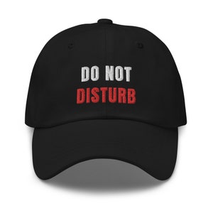Funny Hat for Introvert, Do Not Disturb Hat, Gift for Introvert, Hat for Introvert, Do Not Disturb, Introvert Hat, Funny Gift for Introvert