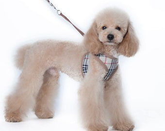 toy poodle harness