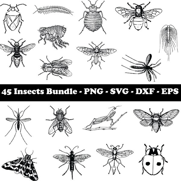 Insect SVG Bundle, Insect SVG, SVG Files for Cricut, Bug Design, Digital Download, Bug Clipart, Insect Outline, Insect Stencil