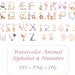 Cactus Alphabets and Numbers Clipart Cactus Alphabet - Etsy