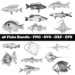 Fisch SVG Bundle, Fisch SVG, SVG Dateien für Cricut, Fisch Design, Digital Download, Fisch Clipart, Fisch Vektor, Fisch Umriss, Fisch Schablone,