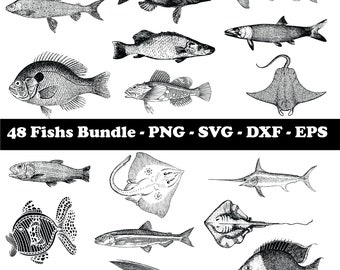 Fish SVG Bundle, Fish SVG, SVG Files for Cricut, Fish Design, Digital Download, Fish Clipart, Fish Vector, Fish Outline, Fish Stencil,