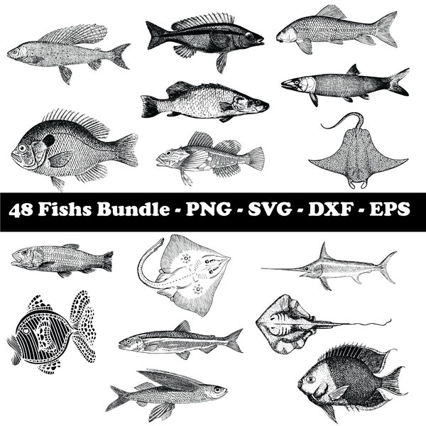 Fish SVG Bundle, Fish SVG, SVG Files for Cricut, Fish Design, Digital Download, Fish Clipart, Fish Vector, Fish Outline, Fish Stencil,