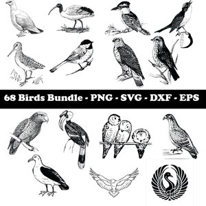 Bird SVG Bundel, Vogels SVG, SVG Bestanden voor Cricut, Instant Download, Digitale Download, Bird Clipart, Bird Vector, Bird Outline, Bird Stencil
