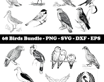 Bird SVG Bundle, Birds SVG, SVG Files for Cricut, Instant Download, Digital Download, Bird Clipart, Bird Vector, Bird Outline, Bird Stencil