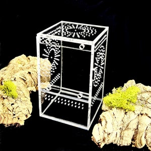 NEW* Small Luxury Enclosure For Jumping Spider Slings, Tarantulas, Arboreal Spiders, Mantis, Invertebrates, NO ESCAPE Front Opening Door