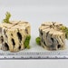 Moss Stump, Natural Decor for Jumping Spider, Tarantula, Mantis, Invertebrate, Isopod Enclosure 