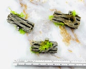 Mini Magnetic Cholla Wood Hide, Natural Decor for Jumping Spider, Tarantula, Mantis Enclosure