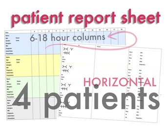 4 Patient 6-18hr Horizontal Report Sheet/Brain Digital Download. Color Coordinated And Double Sided.
