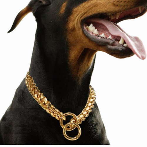 big dog cuban chain