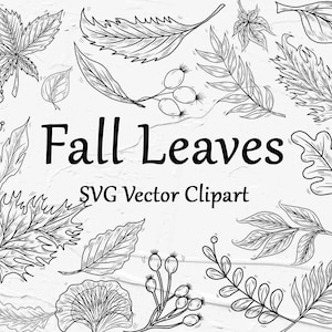 Herbst Blätter SVG Clipart. Weide Zweige Clipart SVG. Herbst Umriss Vektor Clipart. Blumen svg Clipart. SVG Herbst Blätter Umrisse. Herbst Artline