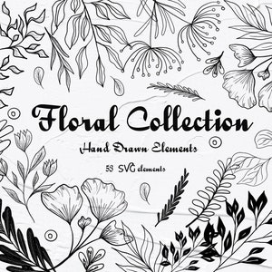 SVG Floral Collection. Floral SVG Clipart. Botanical Clipart. Graphic Outlines. Plant Foliage Collection. Hand Drawn Floral Leaves PNG
