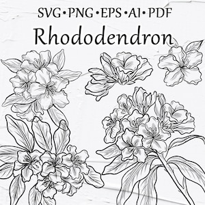 Puede incluir: Ilustración en blanco y negro de flores y hojas de rododendro. La imagen incluye varios arreglos florales, con la palabra "Rhododendron" en una fuente decorativa. La parte superior de la imagen incluye el texto "SVG • PNG • EPS • AI • PDF".