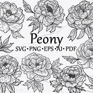 Peony SVG Clipart. Peony Line Art SVG. Spring Outline Vector Clipart. Floral svg Clipart. SVG Peonies outlines. Silhouette, Cricut