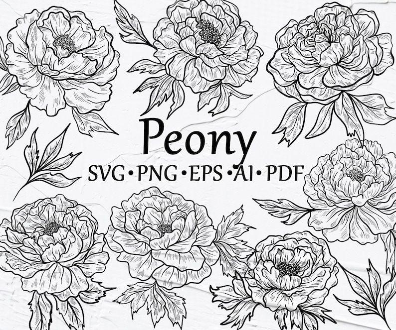 Peony SVG Clipart. Peony Line Art SVG. Spring Outline Vector Clipart