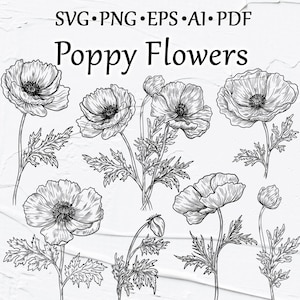 Amapola SVG Imágenes Prediseñadas, Vector Amapola Imágenes Prediseñadas, Amapolas Silvestres, Imágenes Prediseñadas Florales, Imágenes Prediseñadas de flores de amapola, Contornos de amapola, Anémona SVG, PNG