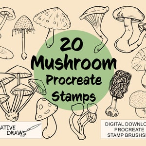 Timbri Mushroom Procreate, pacchetto di pennelli, download digitale